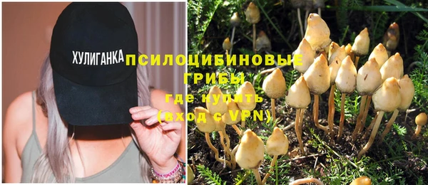 молекула духа Армянск