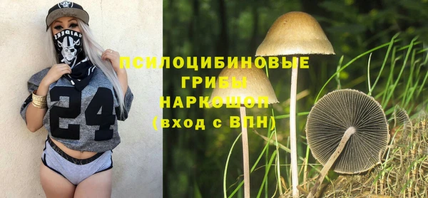 герыч Арсеньев