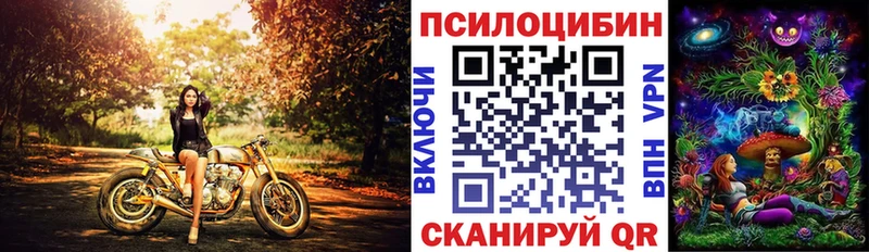маркетплейс наркотические препараты  цены   Сердобск  Галлюциногенные грибы Psilocybe 
